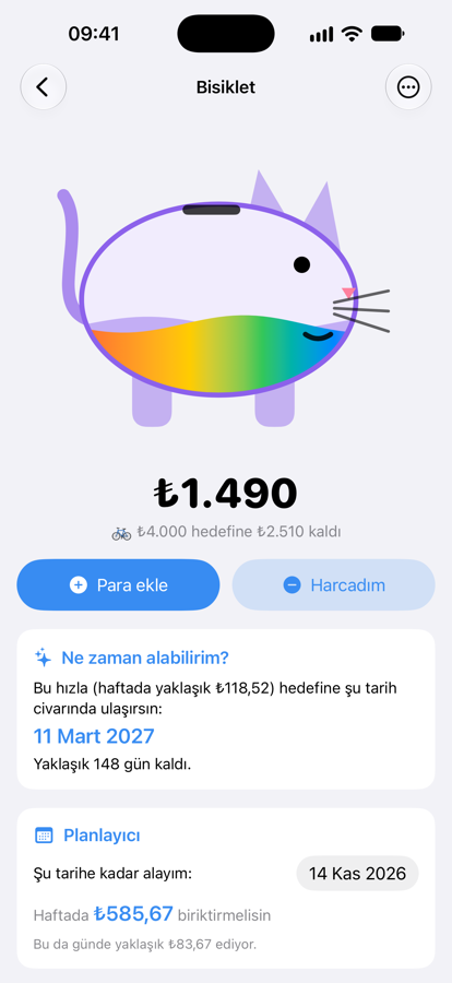 Gökkuşağı stilinde kedi kumbara